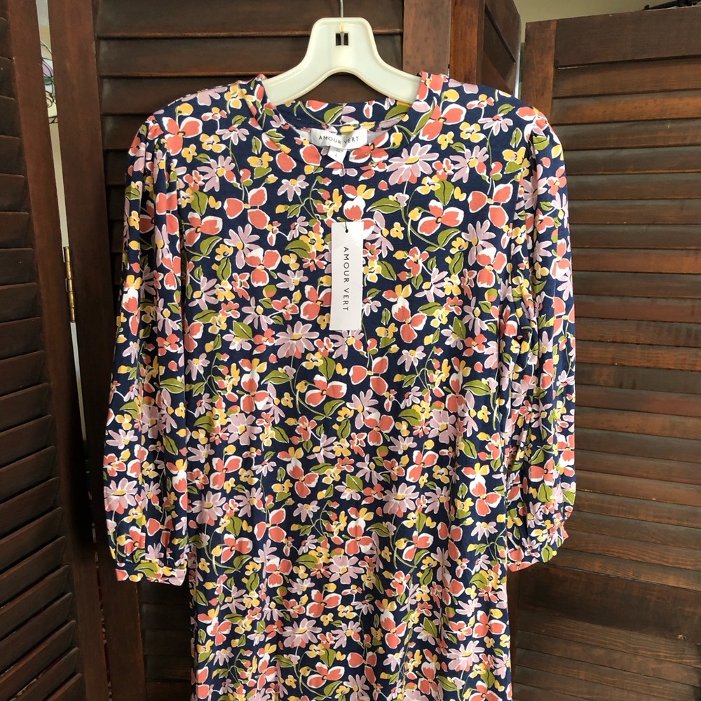 Amour Vert dress nwt